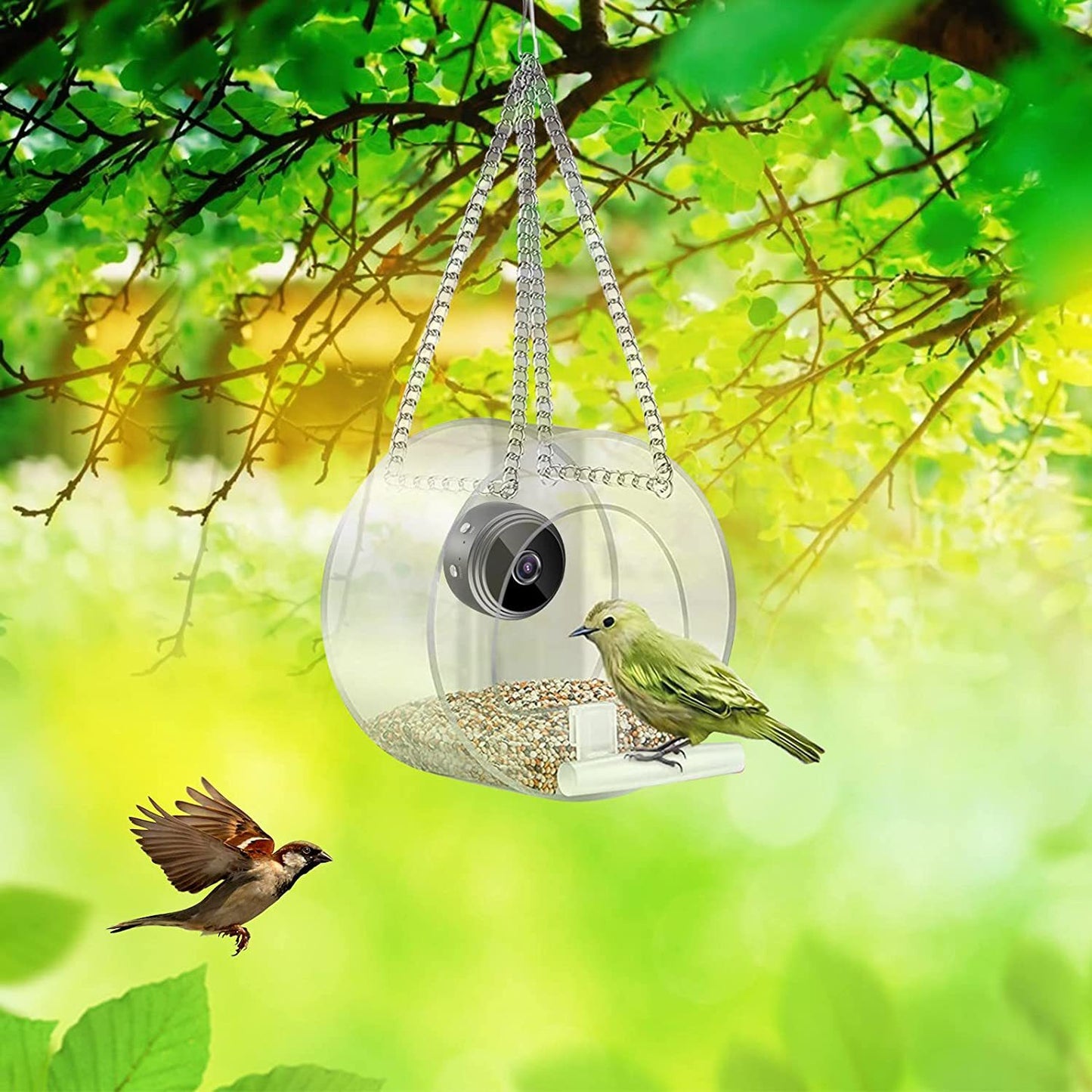 Smart Bird Feeder with Wireless WiFi Camera | Bird Feeder with Smart Camera