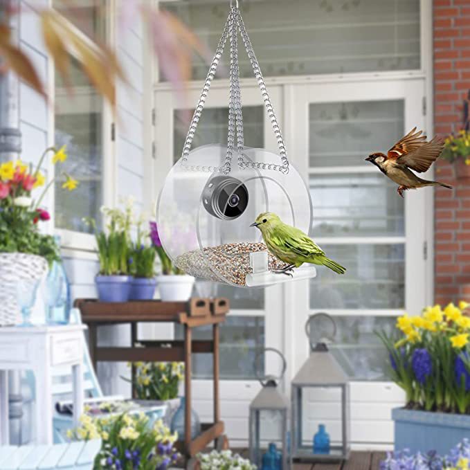 Smart Bird Feeder with Wireless WiFi Camera | Bird Feeder with Smart Camera