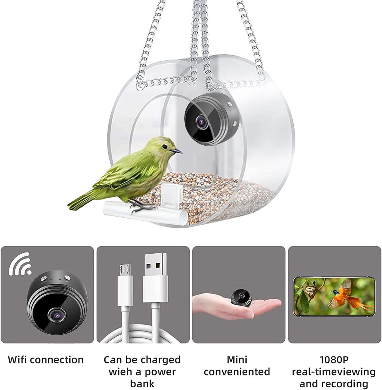 Smart Bird Feeder with Wireless WiFi Camera | Bird Feeder with Smart Camera