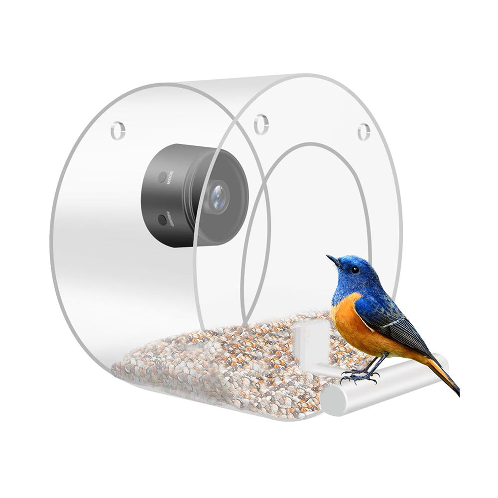 Smart Bird Feeder with Wireless WiFi Camera | Bird Feeder with Smart Camera